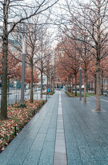 New york city in the winter