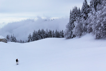Naklejka na ściany i meble skiing in the alps mountains beautiful white snow landsacpe ski sports