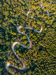 Above aerial view of serpentine in a valley surrounded by green forests. Great trip on winding road. Sardinia, Mediterranean island. Vertical photo, sunset time. Vacation and tourism concept.