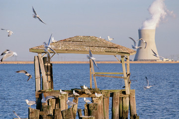 Wooden structure on pier with nuclear reactor in background