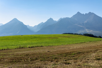 rural landscape of slovakia in summer. empty wheat field in august. high tatras mountain ridge in the distance. sunny weather with clouds on the sky