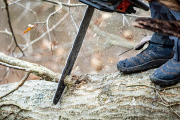 Lumberjack using a Gas-Powered Chain Saw cutting trees
