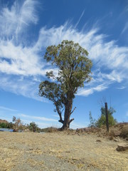 Obraz premium Beautiful nature.