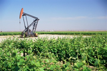 Pump jack oil well in field - obrazy, fototapety, plakaty