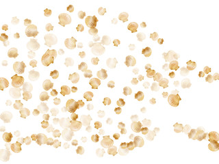 Gold seashells isolated, pearl bivalved mollusks
