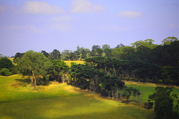 Fototapeta na wymiar mountain and farm landscape