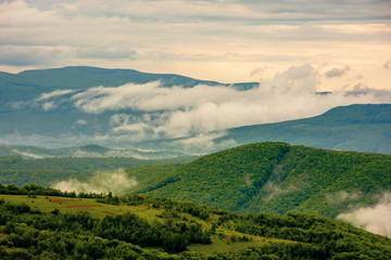 clouds rising above the hills. mountainous countryside of carpathians. fog evaporate from the green forest just after it rains. overcast windy sunrise in springtime.