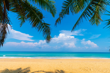Fototapeta na wymiar Tranquil sea beach blue sky turquoise water with green coconut palm tree leaf