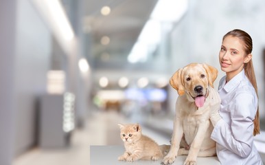 Vet.