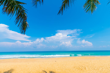 Obraz premium Tranquil sea beach blue sky turquoise water with green coconut palm tree leaf