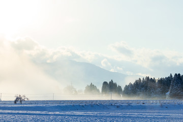 秋田県の雪景色　冬の朝　山と森林