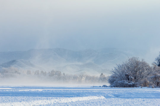 55 535 Best 雪景色 Images Stock Photos Vectors Adobe Stock