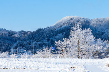 秋田県の雪景色　冬の朝　山と森林