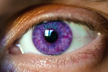 male eye with purple iris, macro