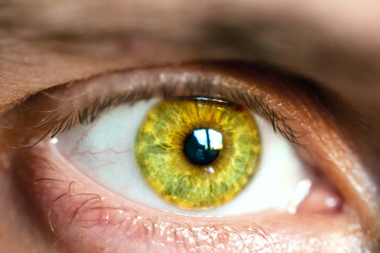 male eye with a yellow iris, macro