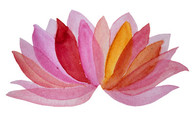 Watercolor pink flower lotus isolated on white background