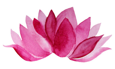Watercolor hand-drawn pink flower lotus isolated on white background