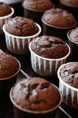 Cooking chocolate cream cupcakes. Confectioner cooks in kitchen.