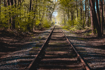 Railroad in the middle of the woods