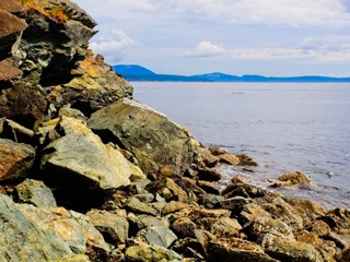 Fototapeta na wymiar Public Ruckle Provincial Park shoreline on the Salt Spring Island