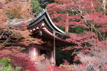 Autumn leaves of Bishamon-do, Yamashina-ku, Kyoto.