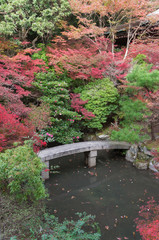 Fototapeta na wymiar Japanese Garden of bishamon-do,Yamashina-ku, Kyoto.