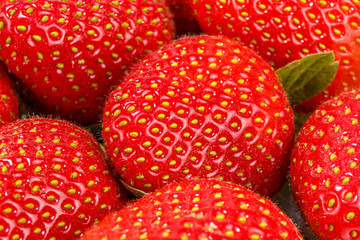 Ripe red strawberries with green leaves and bright yellow seeds close-up