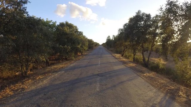 empty rural road at sunset in Alentejo portugal steady shot