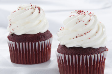 Twin Cupcakes on White