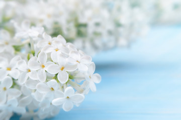 Spring or summer floral background for greeting card. White lilac on a blue wooden background close-up. Template for design with copy space.