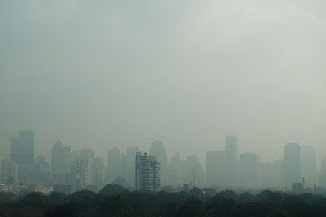 PM 2.5 pollution in Bangkok city