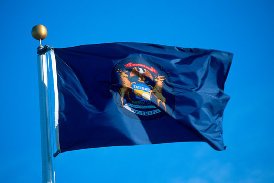 State Flag Of Michigan