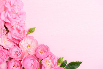 Obraz na płótnie Canvas Beautiful pink roses on pink background