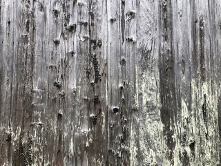 古い木の塀