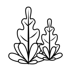 autumn leafs plants nature icons