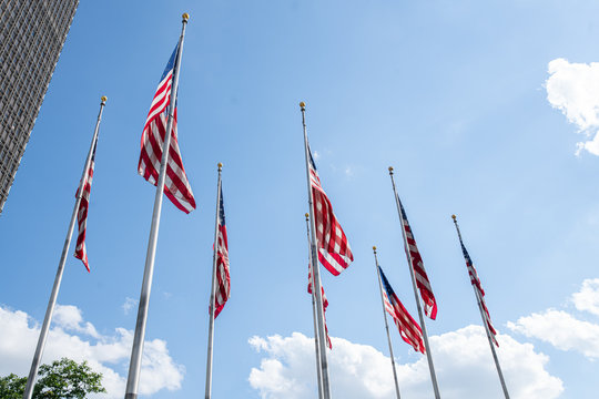 american flags are hanging low on a windless day