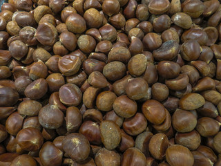 Plenty of Chestnuts in a pile