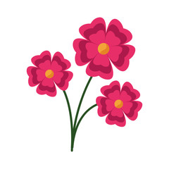 beautiful flowers icon, colorful design