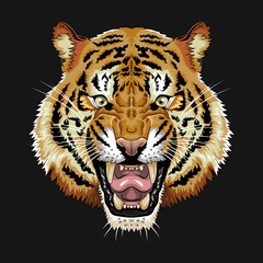 Tiger face vector graphic clipart design