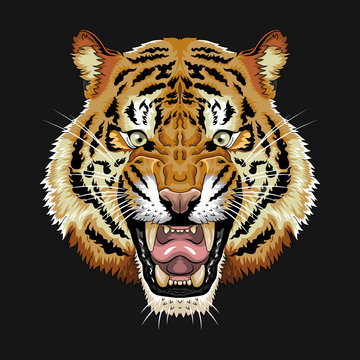 Tiger face vector graphic clipart design