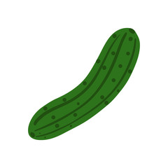 Cucumber in hand drawn style isolated on white background.