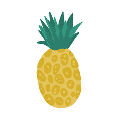 Pineapple in hand drawn style isolated on white background.