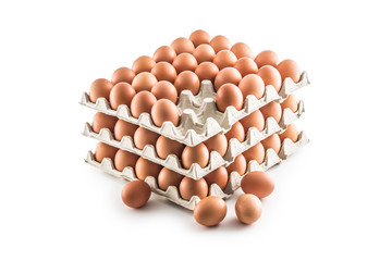 Fresh chicken eggs in pater tray isolated on white background
