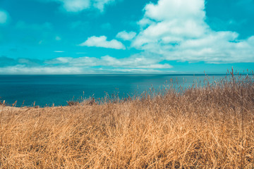 Landscape of Wellington, New Zealand; Scenic view from Makara beach