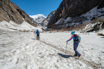 Group of trekker walking on the snowfield in Annapurna Sanctuary of Nepal. Annapurna Sanctuary Trek is most popular trek destination of Annapurna region.
