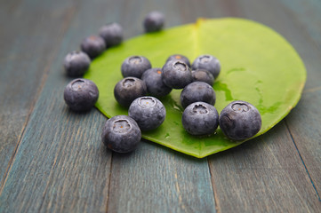 Blueberries and a large round green leaf