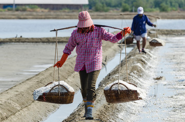 Phetchaburi/THAILAND - Mar 17, 2013 : Salters are carrying salts in the salt garden in Ban Laem, Phetchaburi, Thailand.