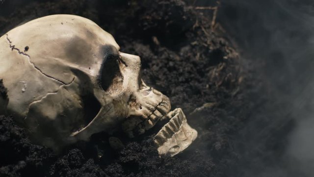 Human skull on the wet soild with smoke flowing