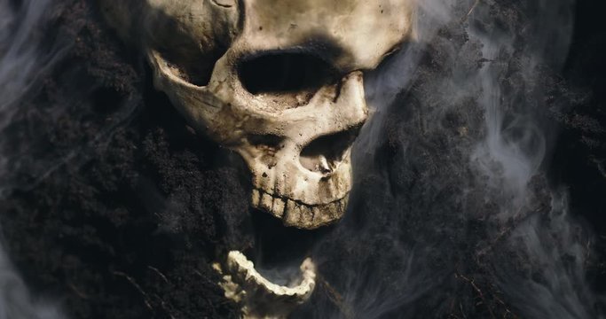Human skull on the wet soild with smoke flowing