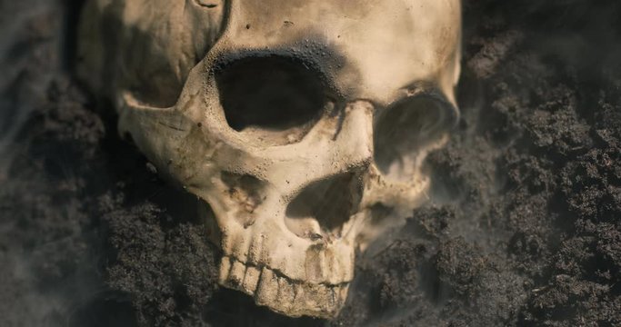 Human skull on the wet soild with smoke flowing